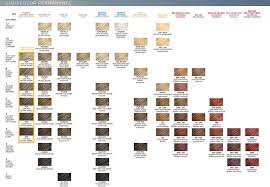 Clairol Professional Soy4Plex Liquicolor 2oz